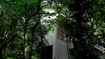 wayanad silver woods hotel