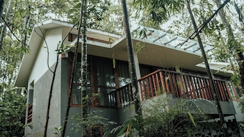 wayanad silver woods hotel