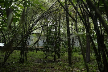 wayanad silver woods hotel