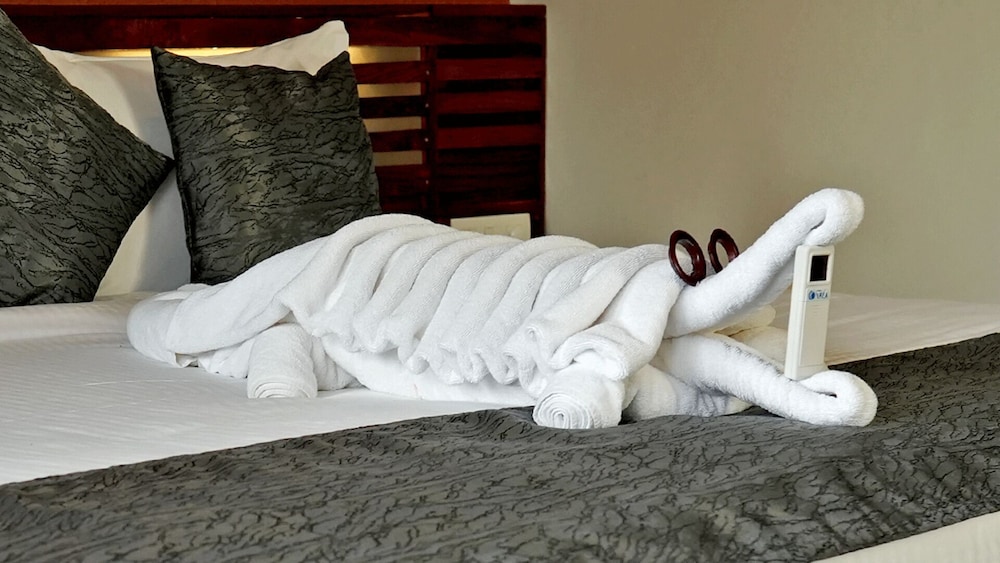 wayanad silver woods hotel