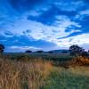 maasai mara