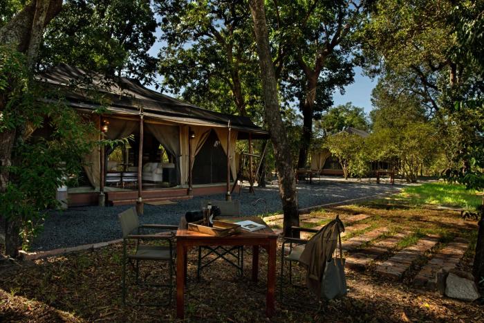 maasai mara