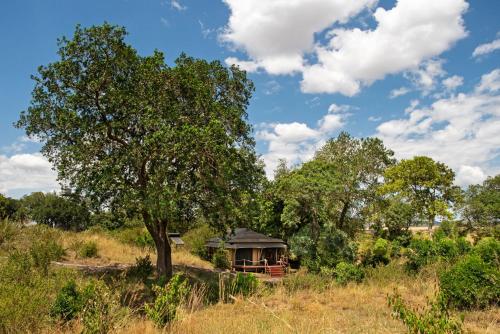 maasai mara