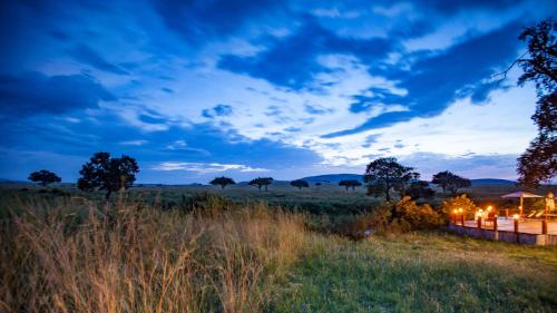 maasai mara