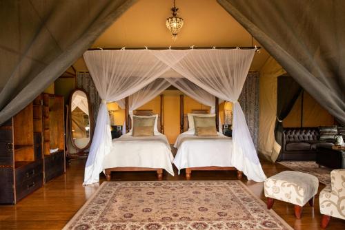 maasai mara