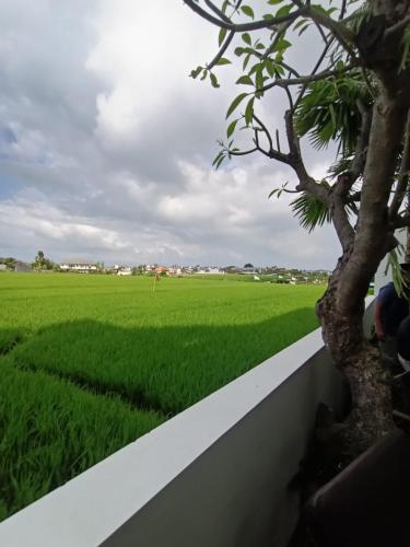 the kd suites and coffee shop