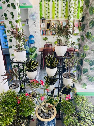 duy c nh homestay