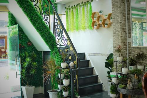 duy c nh homestay