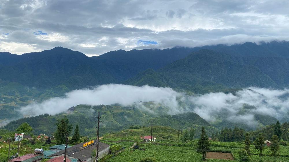d home sapa 2