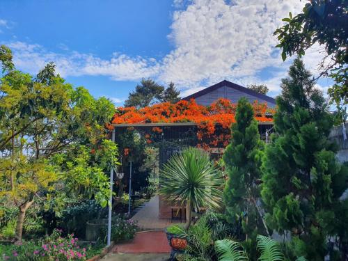 tea garden house
