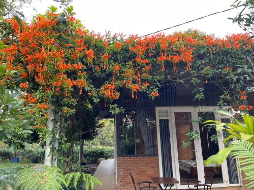 tea garden house