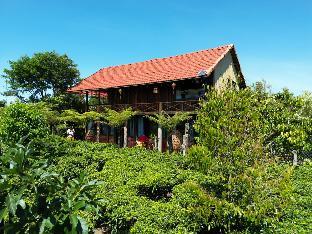tea garden house