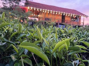tea garden house