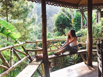 Fig Tree Hill Resort,Bayan Lepas>>Balik Pulau,3 star