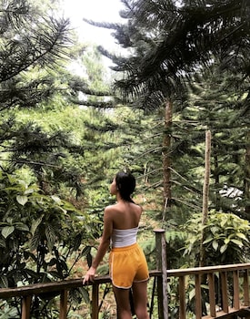 Fig Tree Hill Resort,Bayan Lepas>>Balik Pulau,3 star