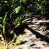 los quetzales ecolodge and spa