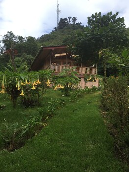 cerro punta