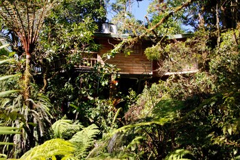cerro punta