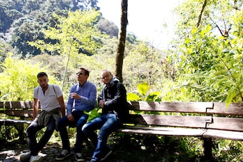 cerro punta