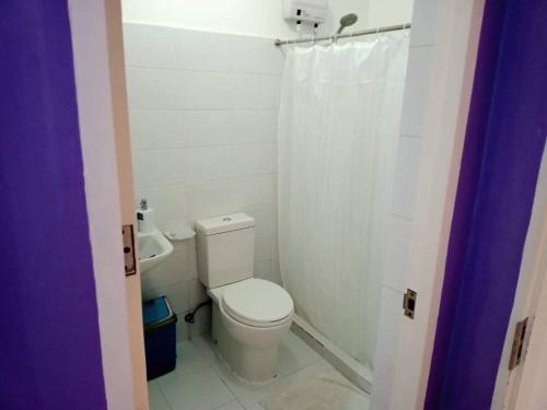 the purple tree hostel