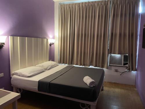 the purple tree hostel