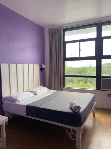 the purple tree hostel
