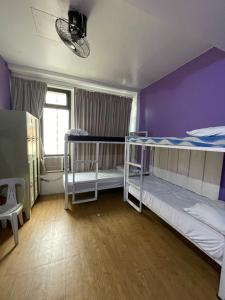 the purple tree hostel