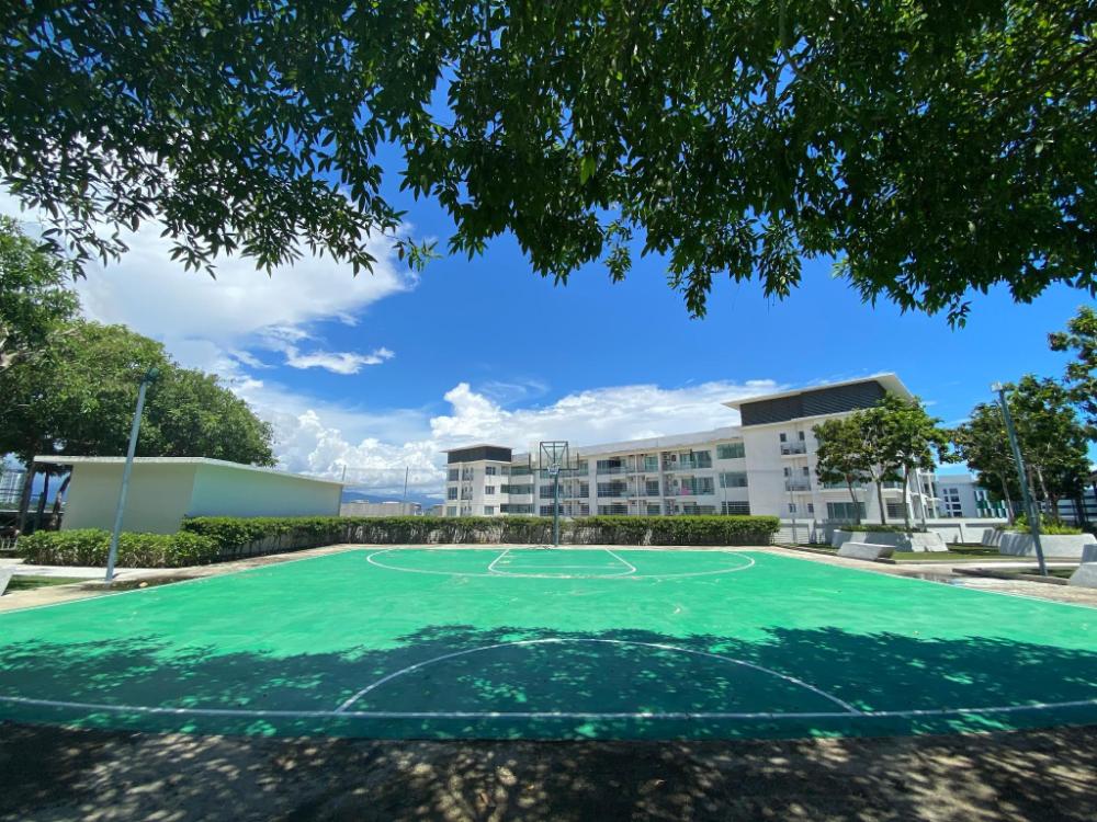 homesuite home imago loft kk