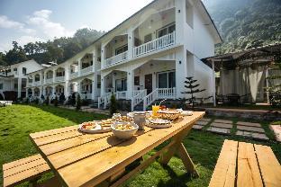 zostel plus rishikesh