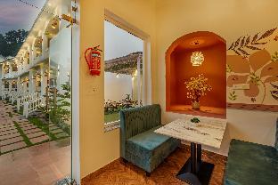 zostel plus rishikesh