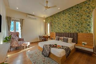 zostel plus rishikesh