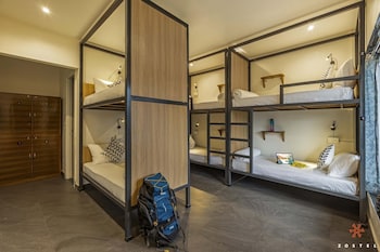 zostel plus rishikesh