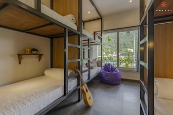 zostel plus rishikesh