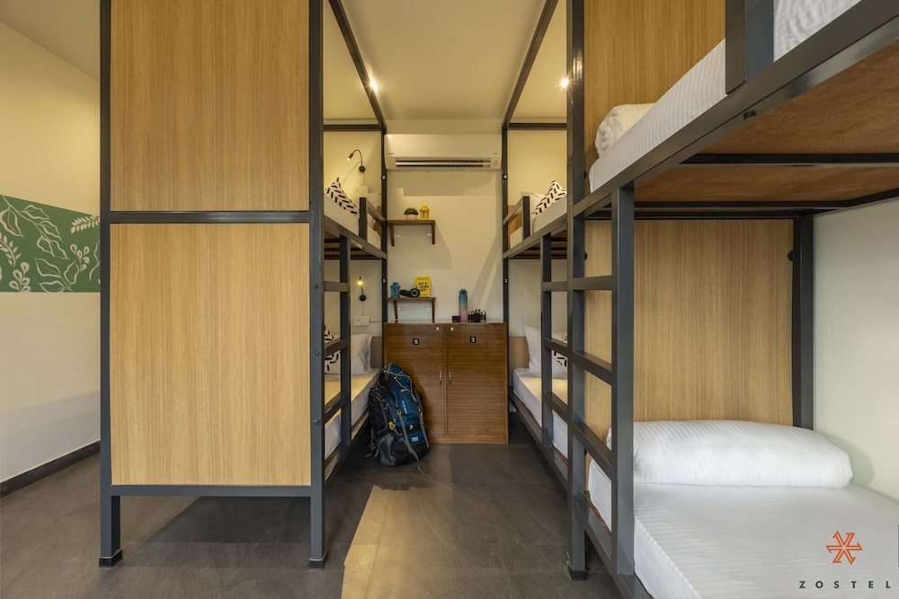 zostel plus rishikesh