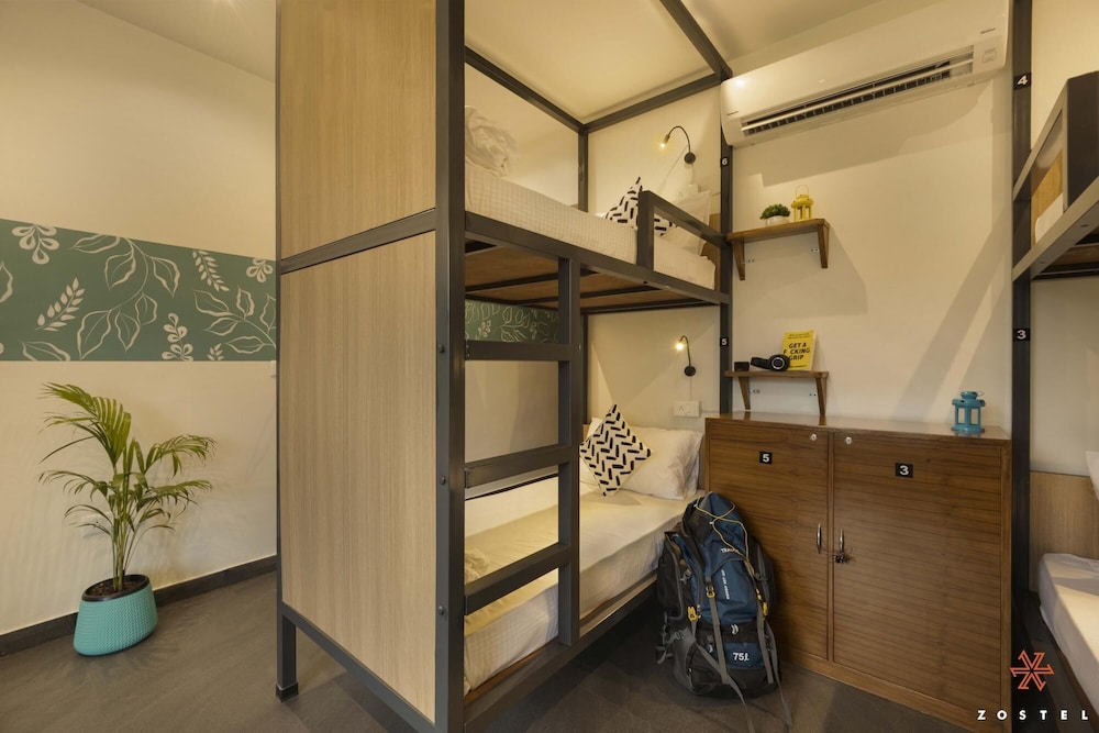 zostel plus rishikesh