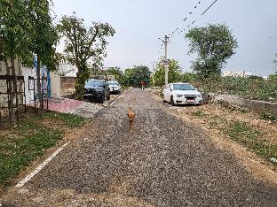 rukiye zara