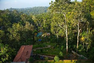 wayanad
