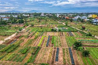 song river homestay hoi an