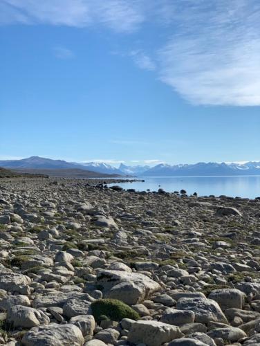 south apartments calafate