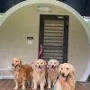 starandmoon guest house
