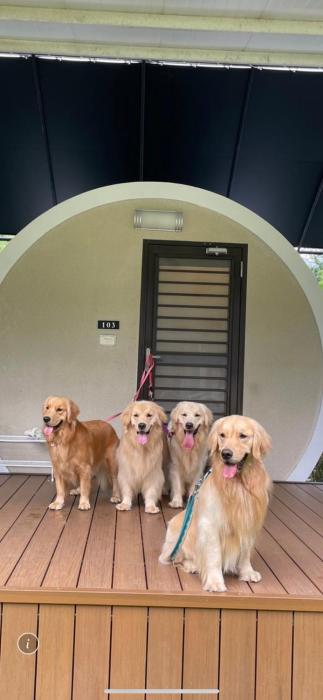 starandmoon guest house