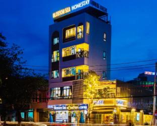 blossom sea homestay quy nhon