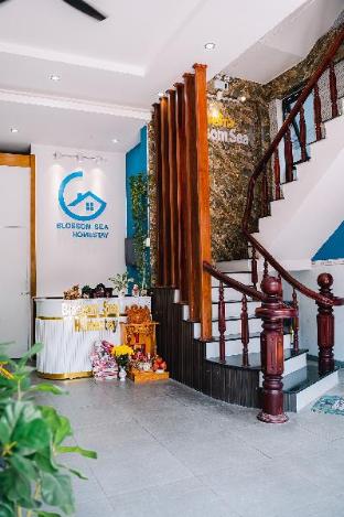 blossom sea homestay quy nhon
