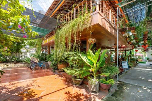 alley garden homestay hoi an