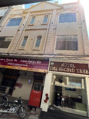 hotel the orchid tree