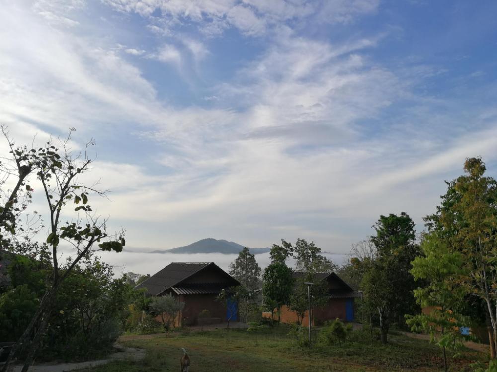claycraft coffee gallery homestay