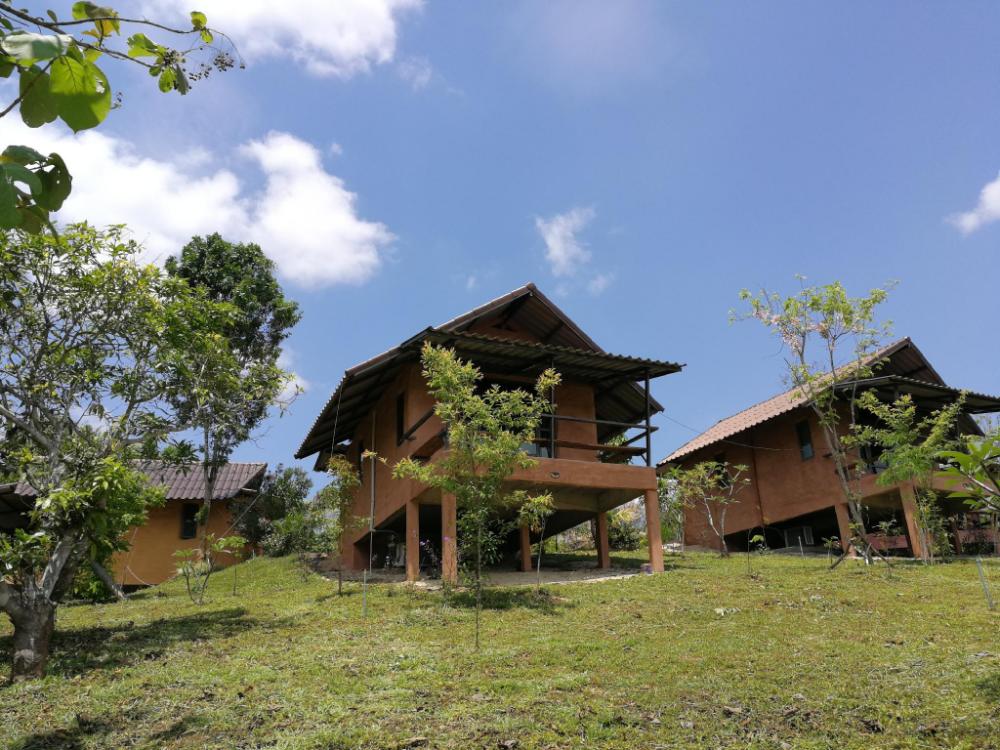claycraft coffee gallery homestay