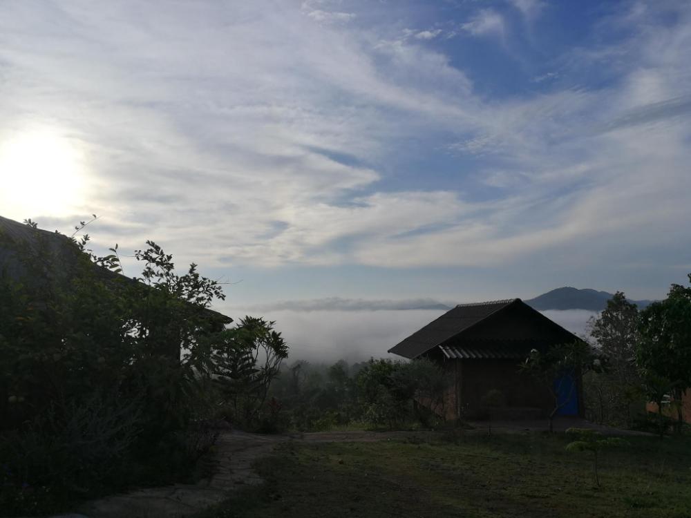claycraft coffee gallery homestay