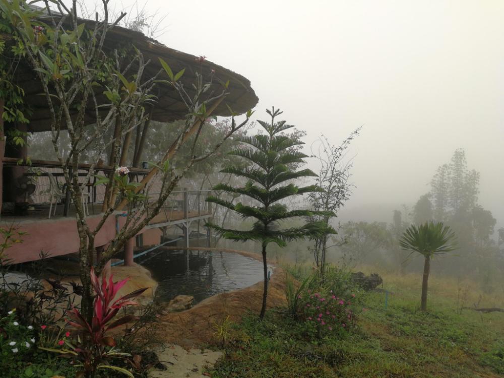 claycraft coffee gallery homestay