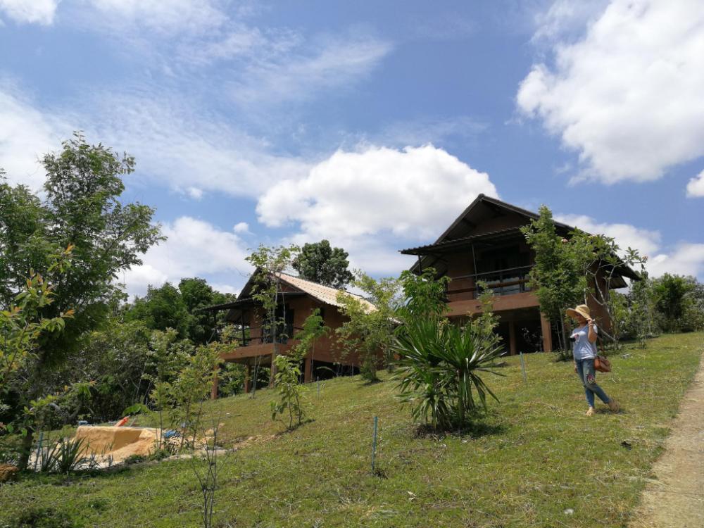 claycraft coffee gallery homestay
